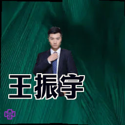 王振宇